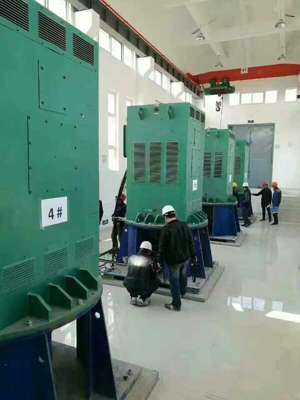 永福某污水处理厂使用我厂的立式高压电机安装现场